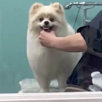 ばっちり目が合った♡