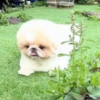 普段は真面目です