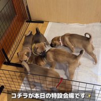 どんな対面になるかな？