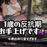 絶賛反抗期中