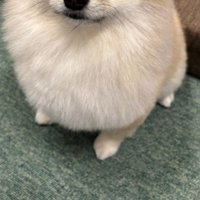 現在のそるちゃんは…