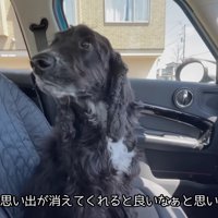 看護師さんが大好きなルッちん