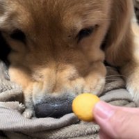 「ひどいことされた…」