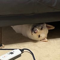 うに太くんもこちらを見ている！？