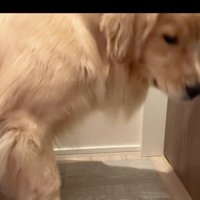 「ここで待つか…」