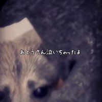 お父さんも思わず涙…