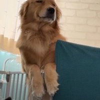 これは癒されちゃう…♡