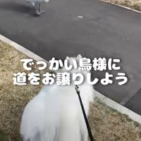 少し迂回する