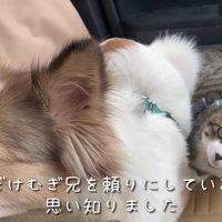 震えが止まらなくなった…