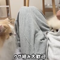 2匹とも甘えん坊モード