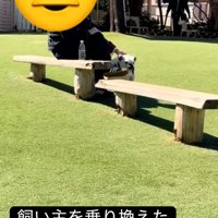 知らない人と寛ぐぱせり君