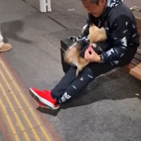 CoCoちゃんとパパさんの再会6