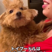 衝撃的な寝癖が！！