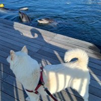 水族館の中を警備