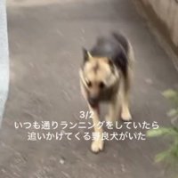 ランニングをしていたら…