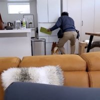 前にまわり込んで…