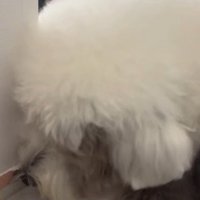 「誰がしたん？」
