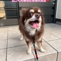 笑顔のムニくん