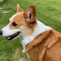 「お見送り業務終了♪はあ…疲れた～」