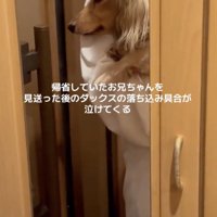 お兄ちゃんへの愛が伝わってきます