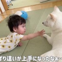 坊やちゃんとおまめちゃん