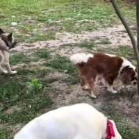 ゆっくりと足を動かす練習