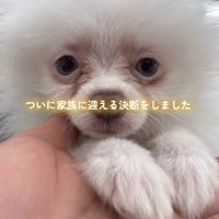 愛情を注ぎ続けたら…