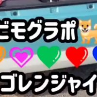 5匹のわんこ、通称『ゴレンジャイ』