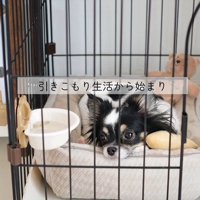 しずくちゃんの変化2