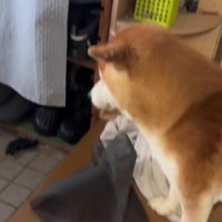 「…？」