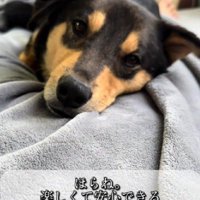 幸せそうな表情に涙…