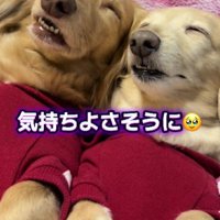 普段はとっても仲良し♪