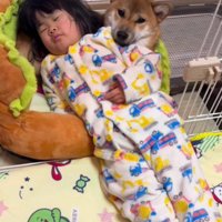 コロちゃんを枕に…！！