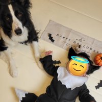 気が利きすぎる姿に感嘆！！