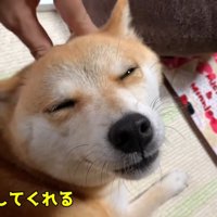 幸せそう♡
