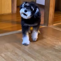 「お前は誰だ！！」