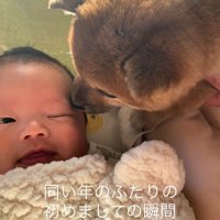 いとちゃんの成長記録5