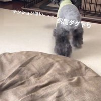 さくらちゃんのハウス成功2