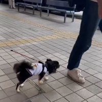 「もしかして…！？」