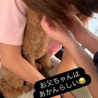 ドルくんの家族への態度の差3