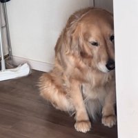 視線を逸らすべるちゃん