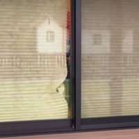 カーテンの隙間から犬