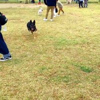 ようやく発見！