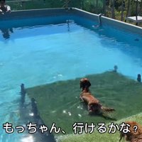 怖がるモナカちゃん