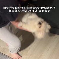 もう動けません