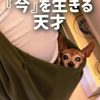 今を生きる天才