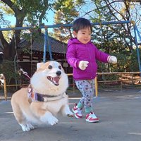 お散歩