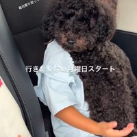 温かな光景にホッコリ