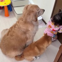 「ぬいぐるみはまだ…？」