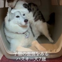 距離が近すぎるローズちゃんとロイくん2